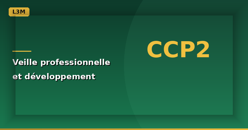 CCP2 – Veille professionnelle et développement de l'activité